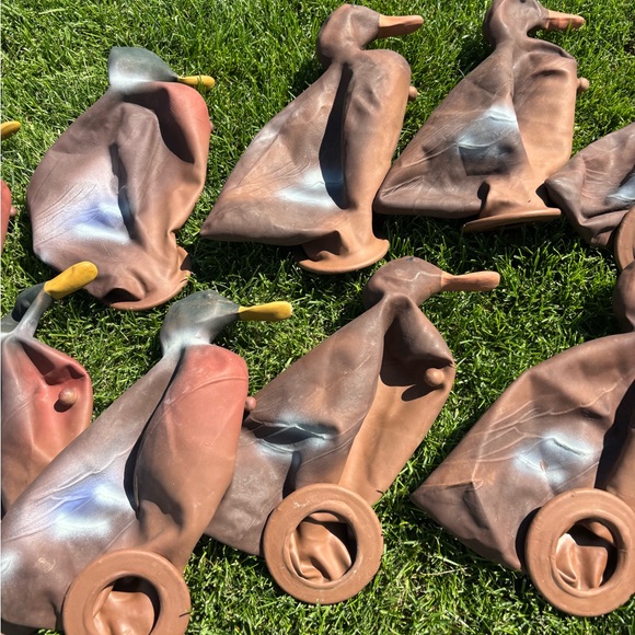 Vintage Duck Hunting Decoys Set - Picture 2 of 10